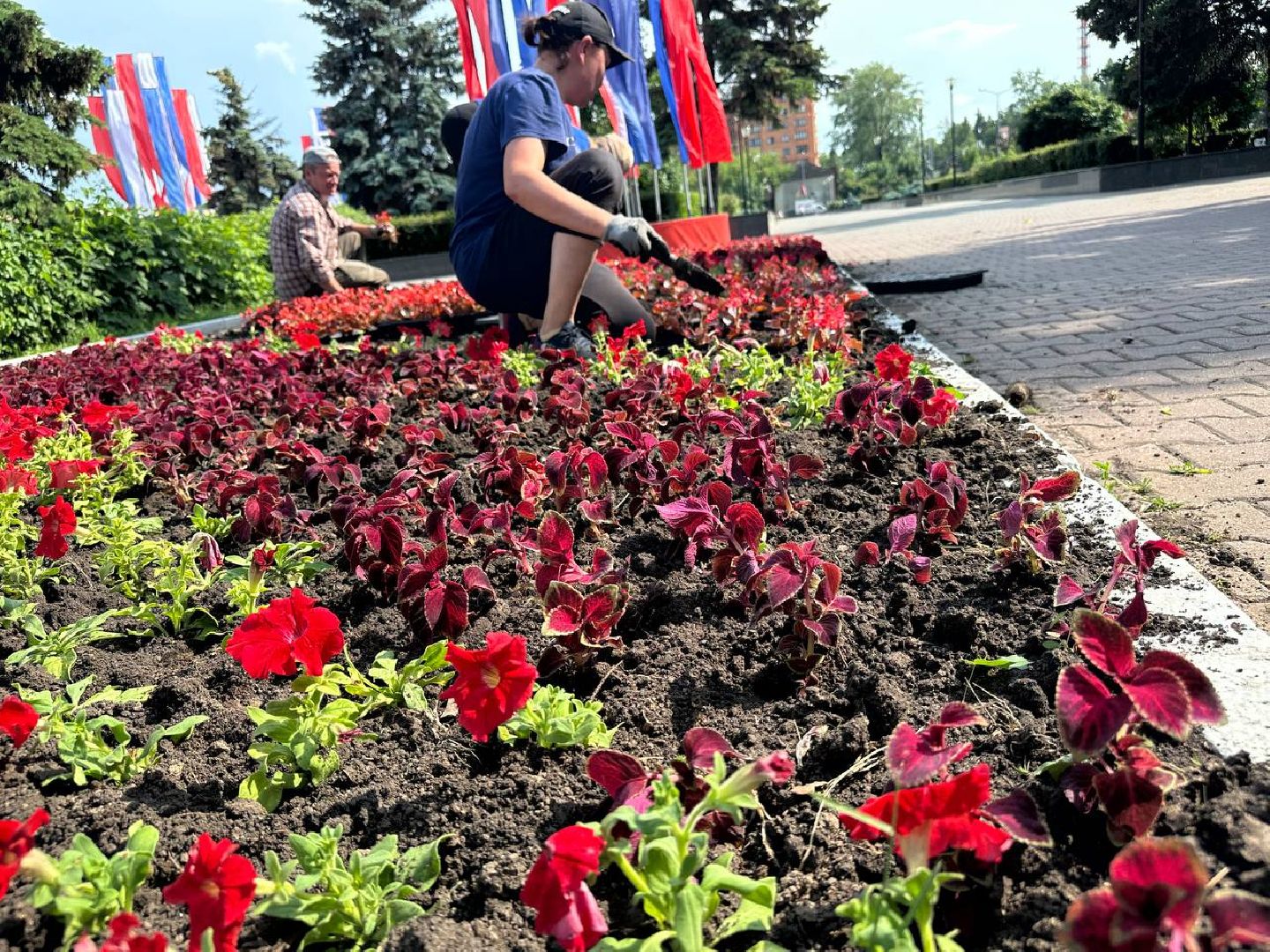 день россии, домодедово, цветы,