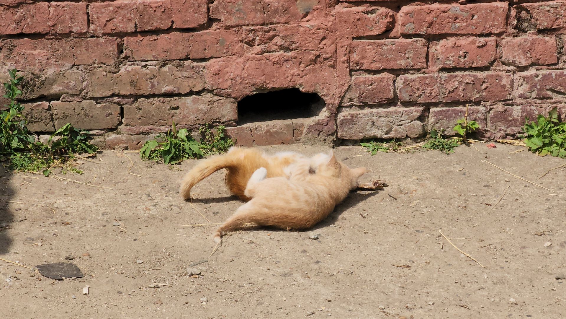 кашира, аварийное жилье, переселенец из аварийного жилья, жилищный сертификат, администрация, региональная программа,