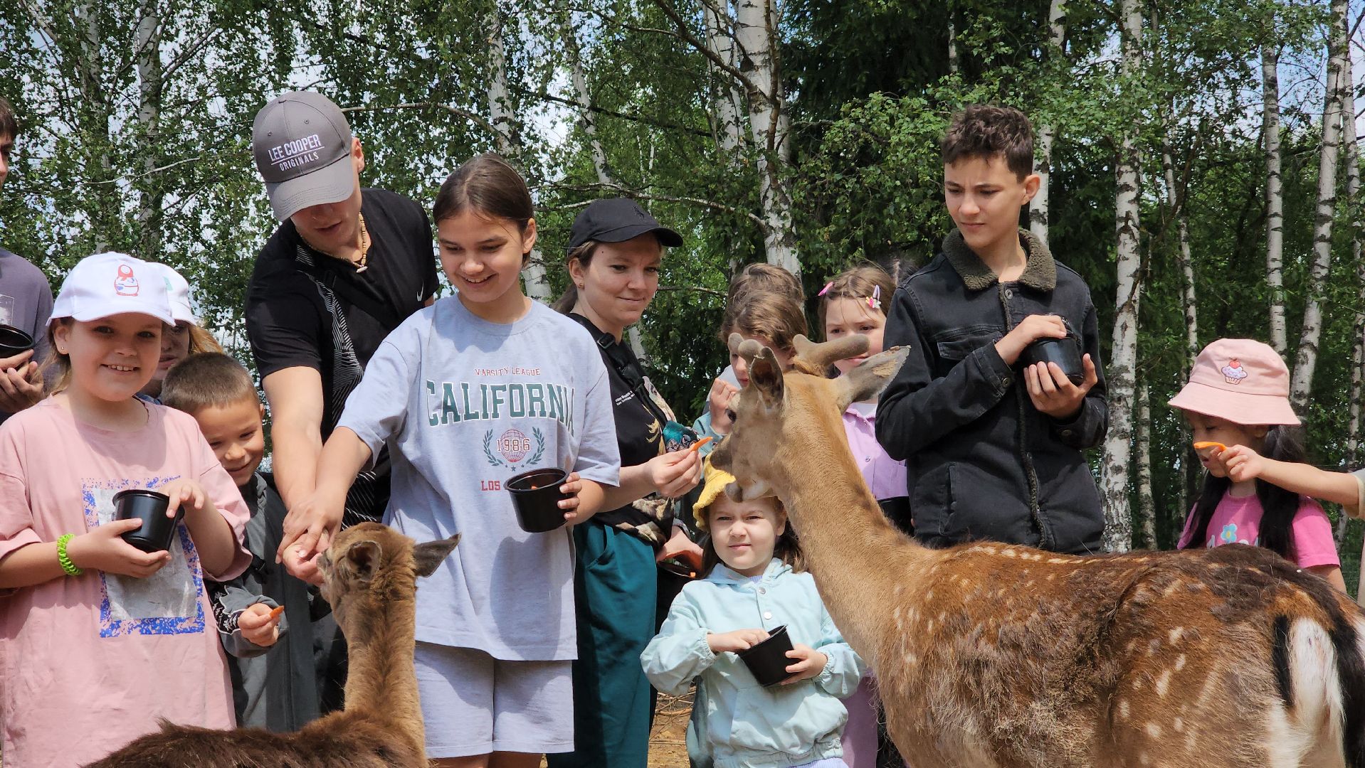 ступино, лето в подмосковье, туризм, экотуризм,