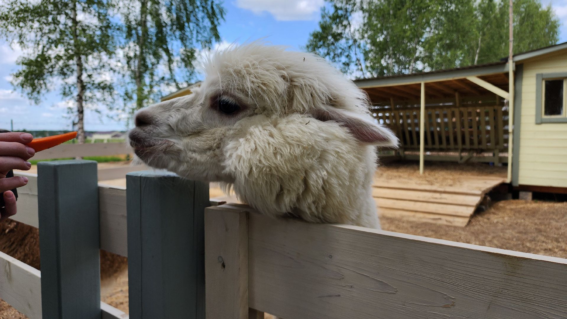 ступино, лето в подмосковье, туризм, экотуризм,