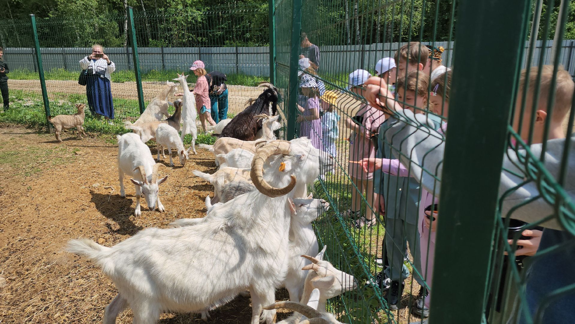 ступино, лето в подмосковье, туризм, экотуризм,