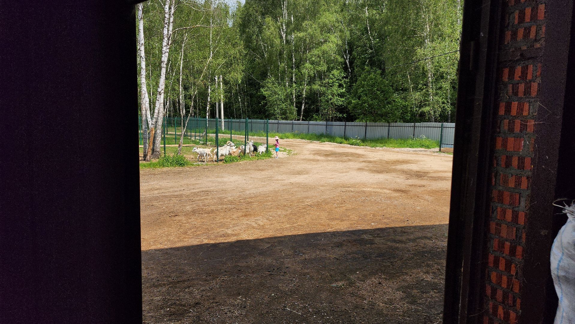 ступино, лето в подмосковье, туризм, экотуризм,