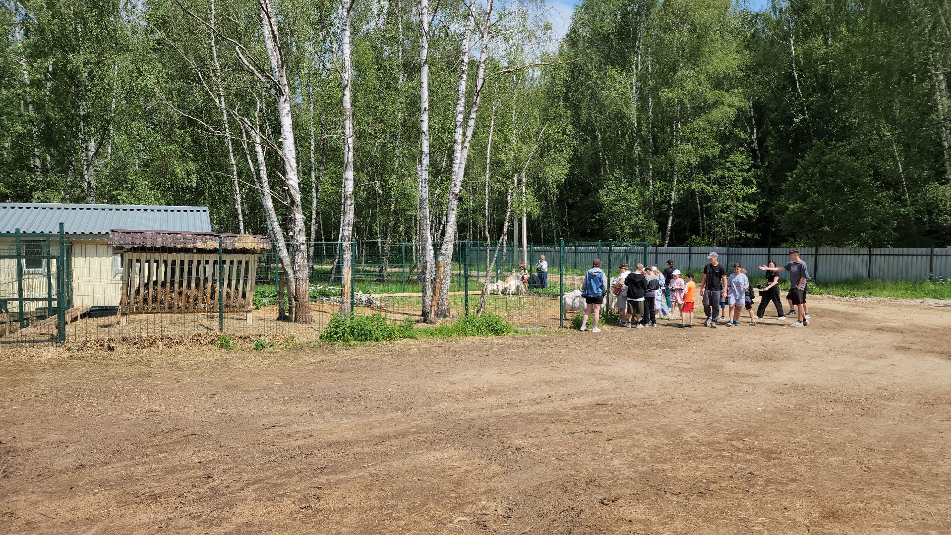 ступино, лето в подмосковье, туризм, экотуризм,