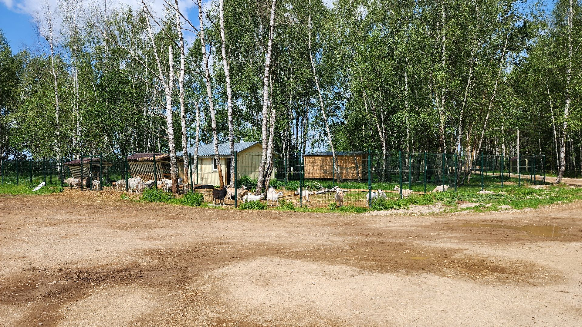 ступино, лето в подмосковье, туризм, экотуризм,