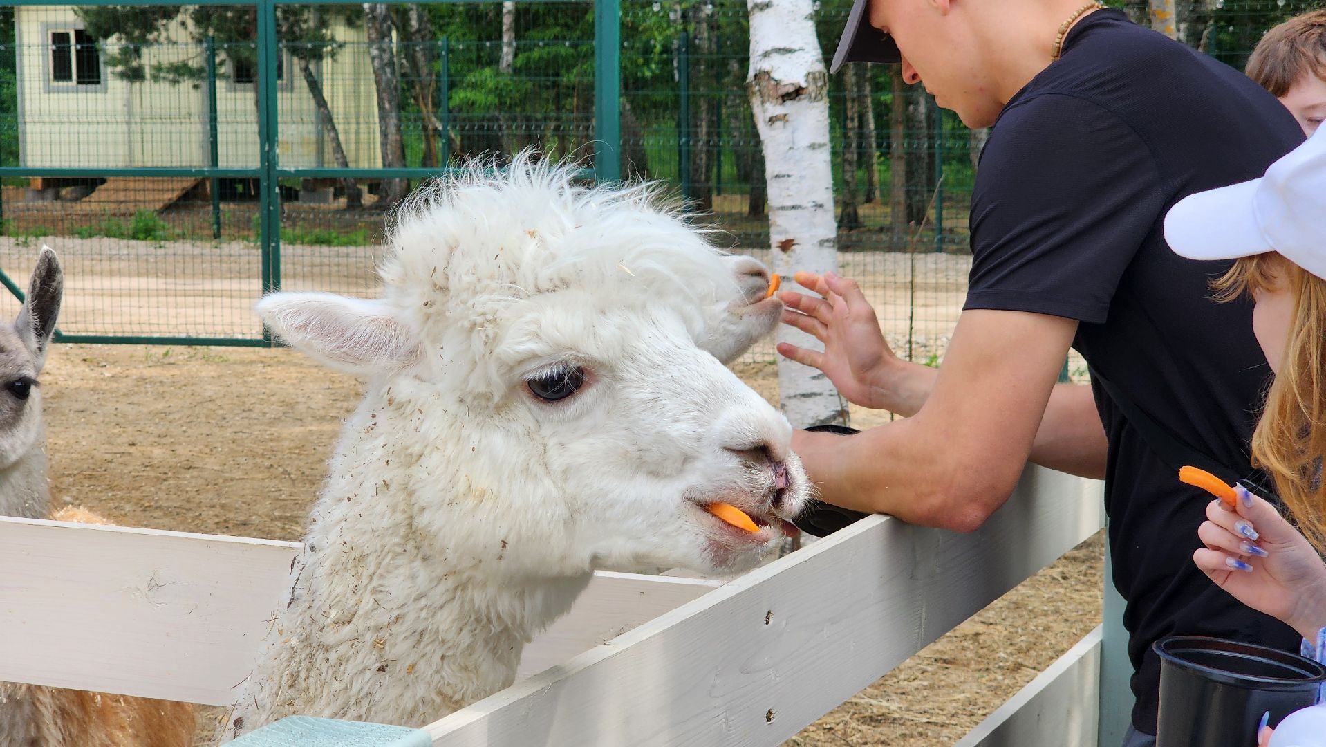 ступино, лето в подмосковье, туризм, экотуризм,