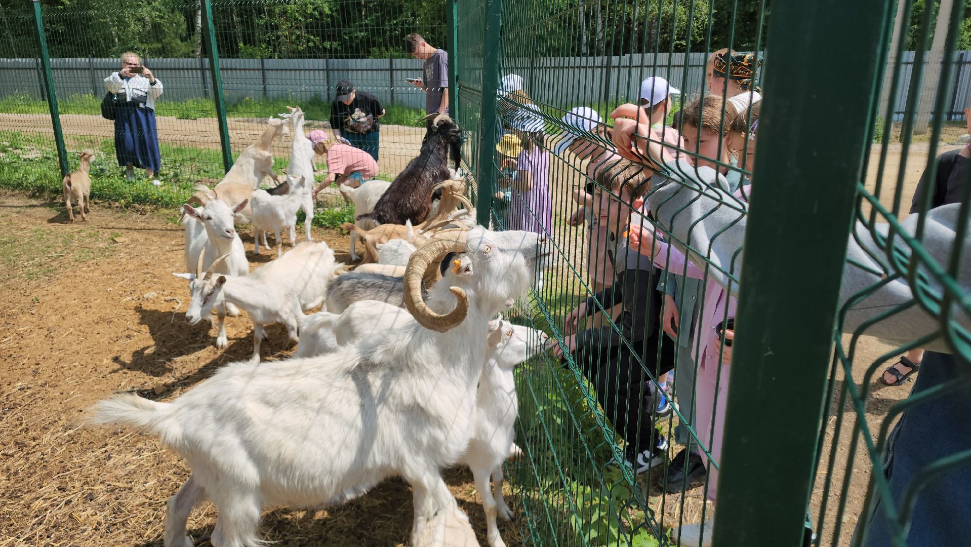 ступино, лето в подмосковье, туризм, экотуризм,