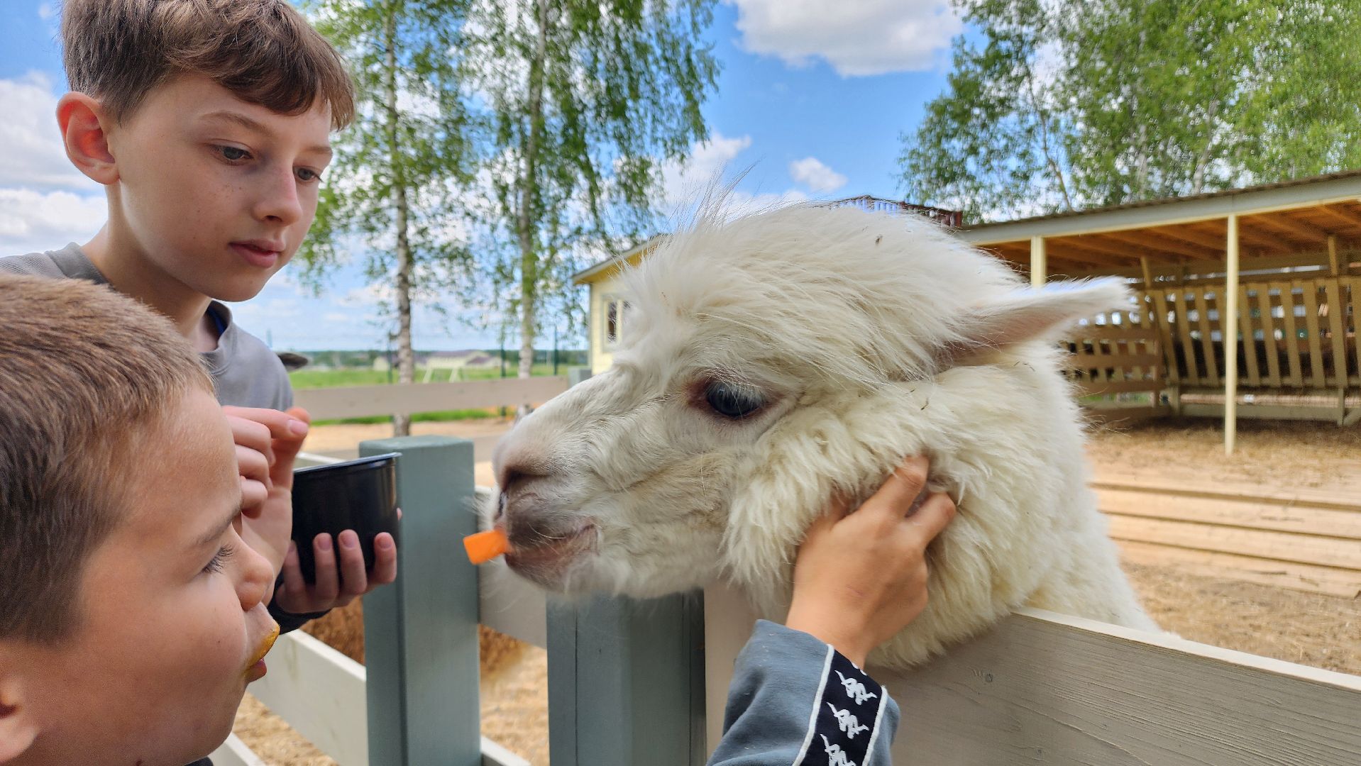 ступино, лето в подмосковье, туризм, экотуризм,