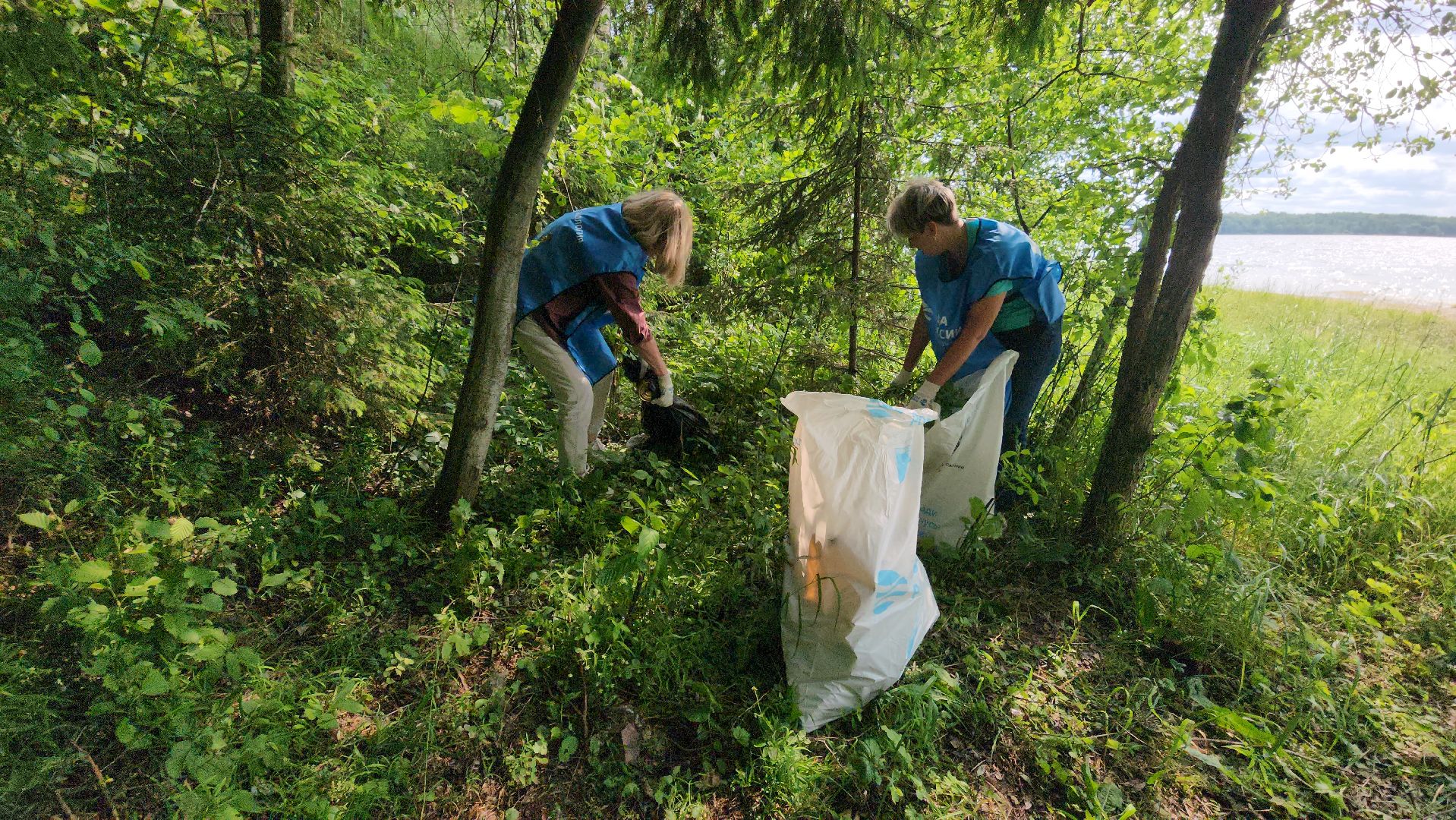 Руза, Вода россии, рузское водохранилище, Экология,