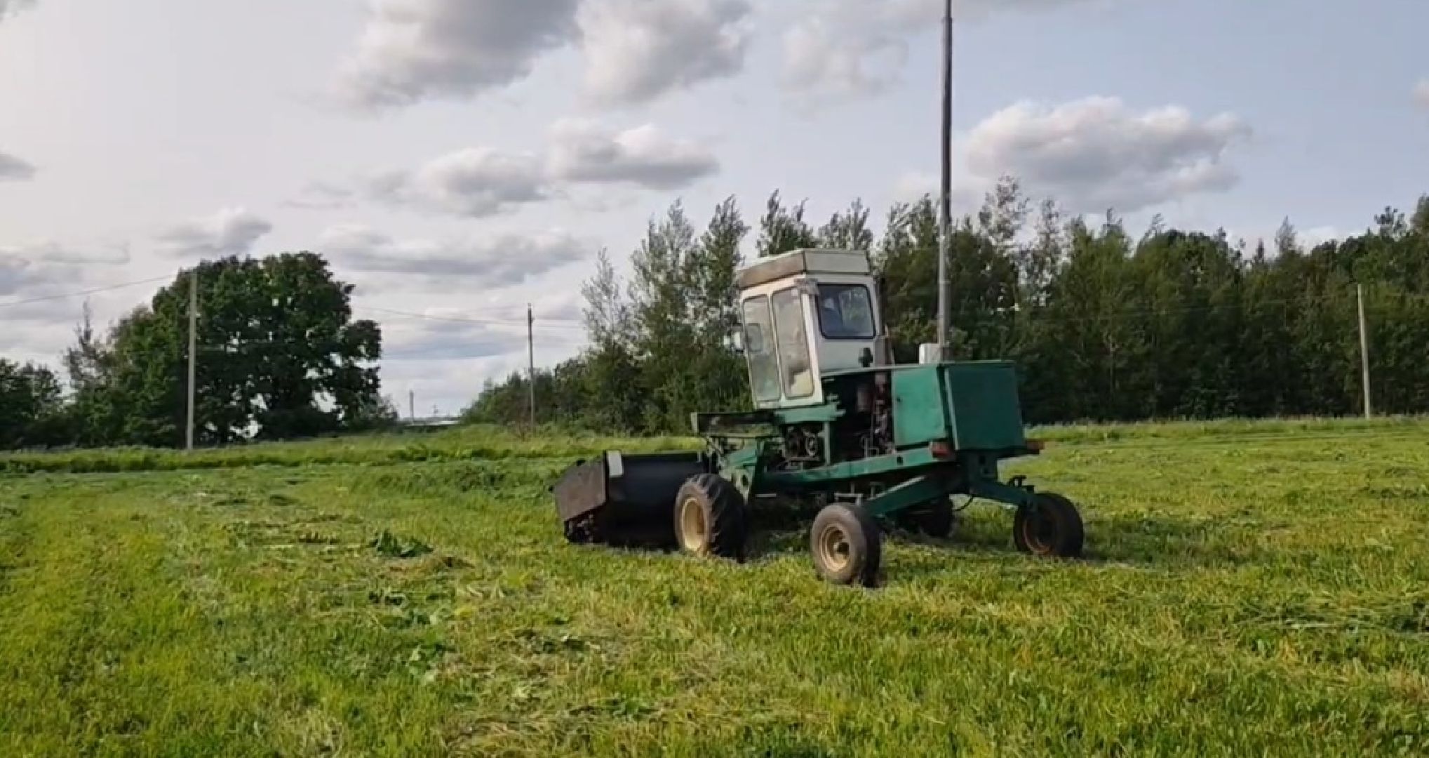 Борщевик, Истра,борьба с борщевиком, Благоустройство , Власти,