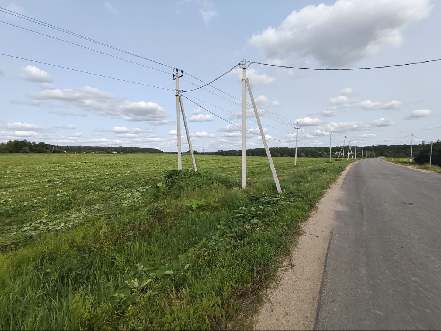 Борщевик, Истра,борьба с борщевиком, Благоустройство , Власти,