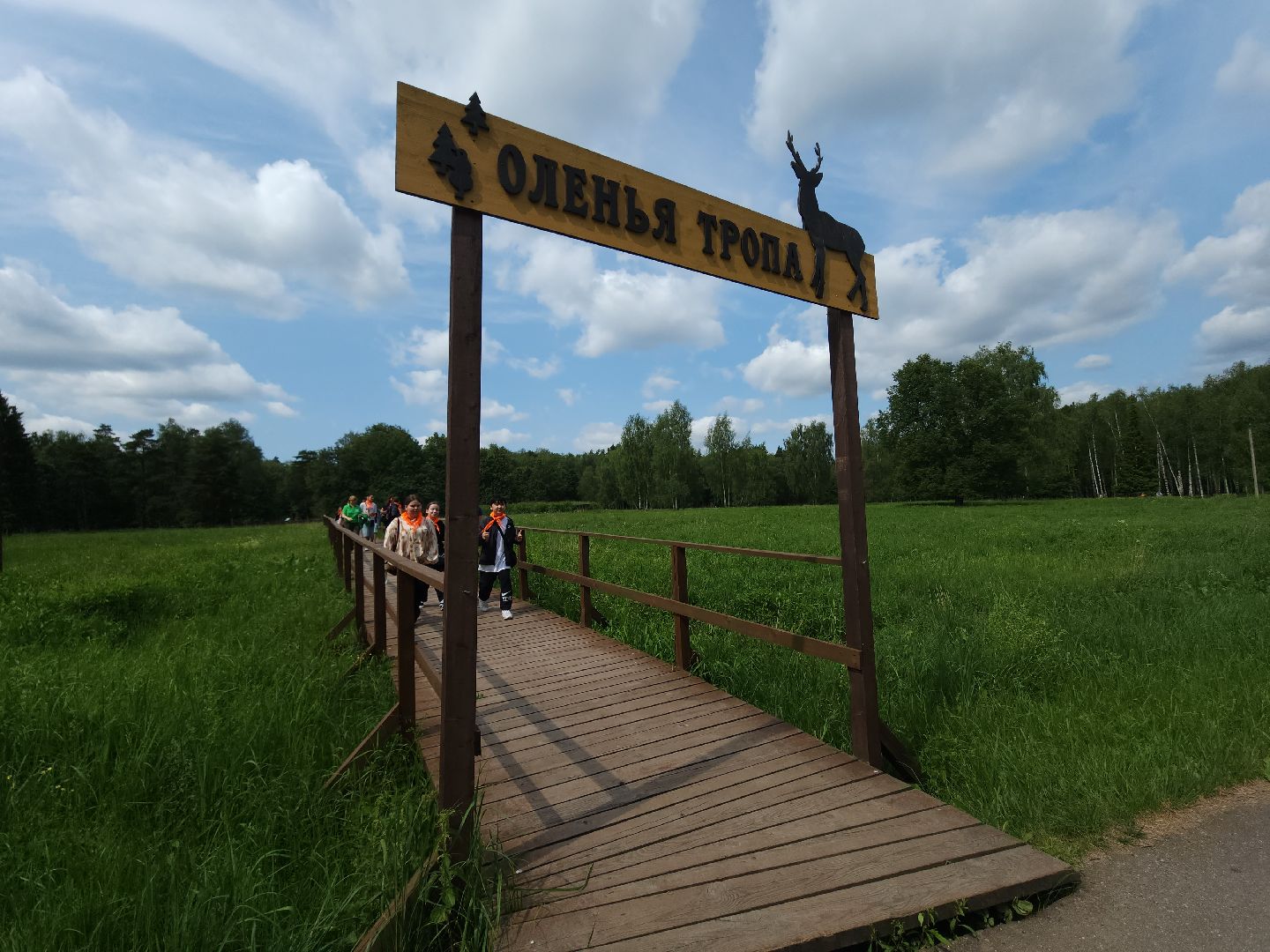 мытищи, лосиный остров,