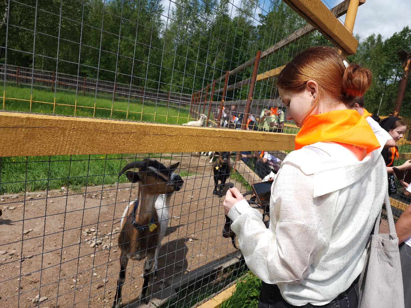 мытищи, лосиный остров,