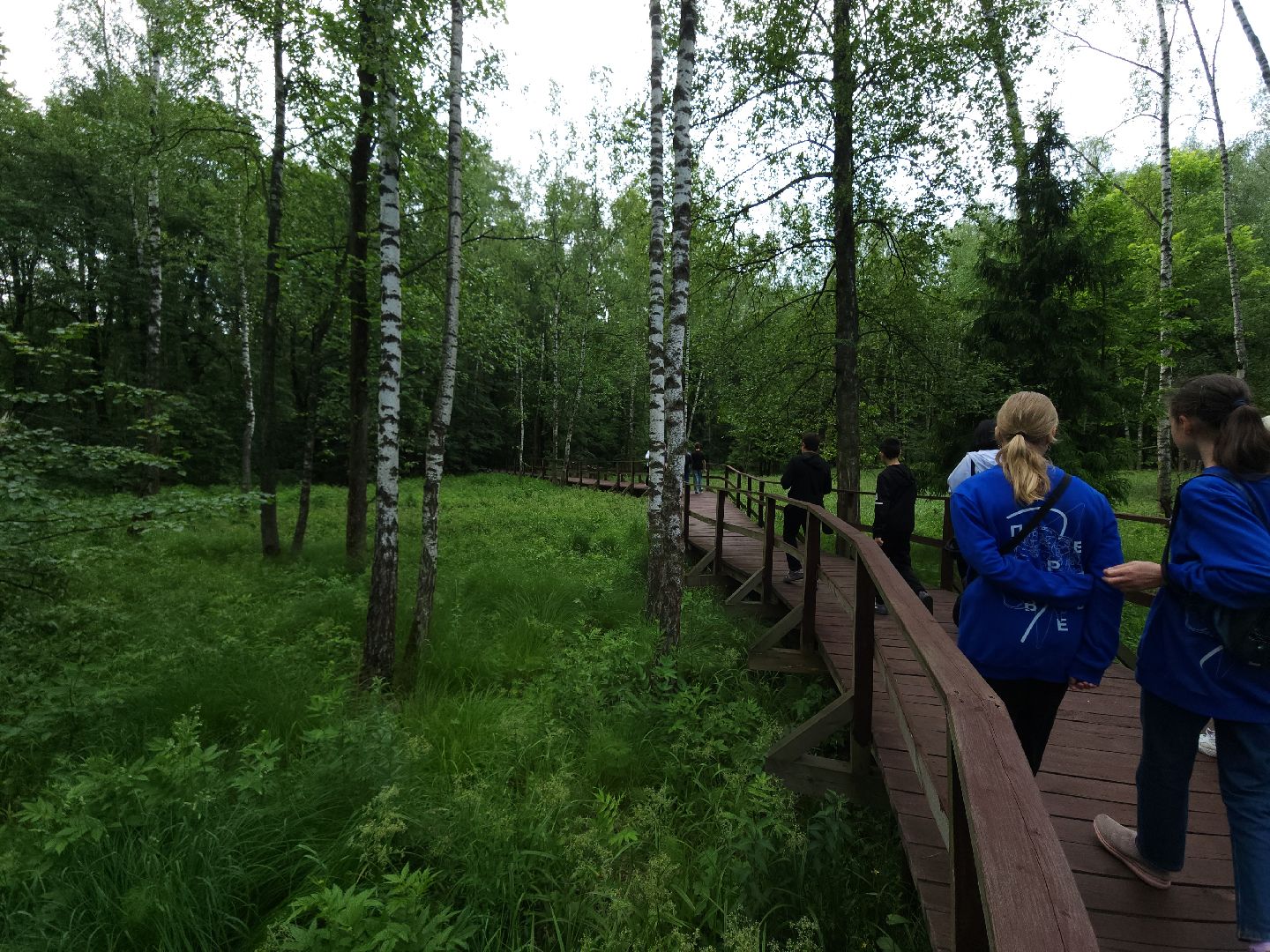 мытищи, лосиный остров,