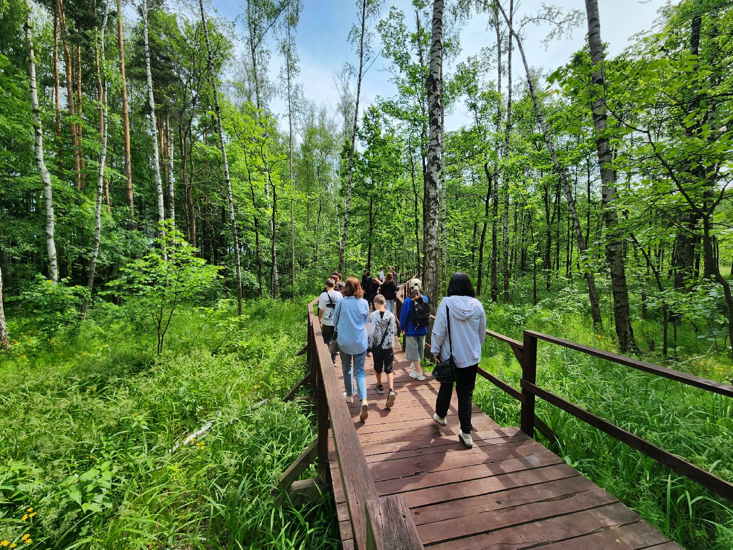 мытищи, лосиный остров,