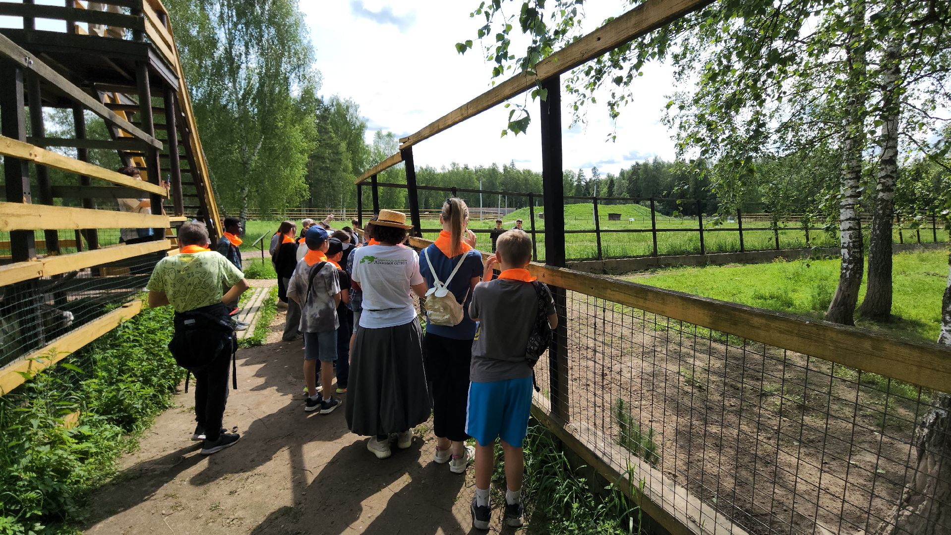 мытищи, лосиный остров,