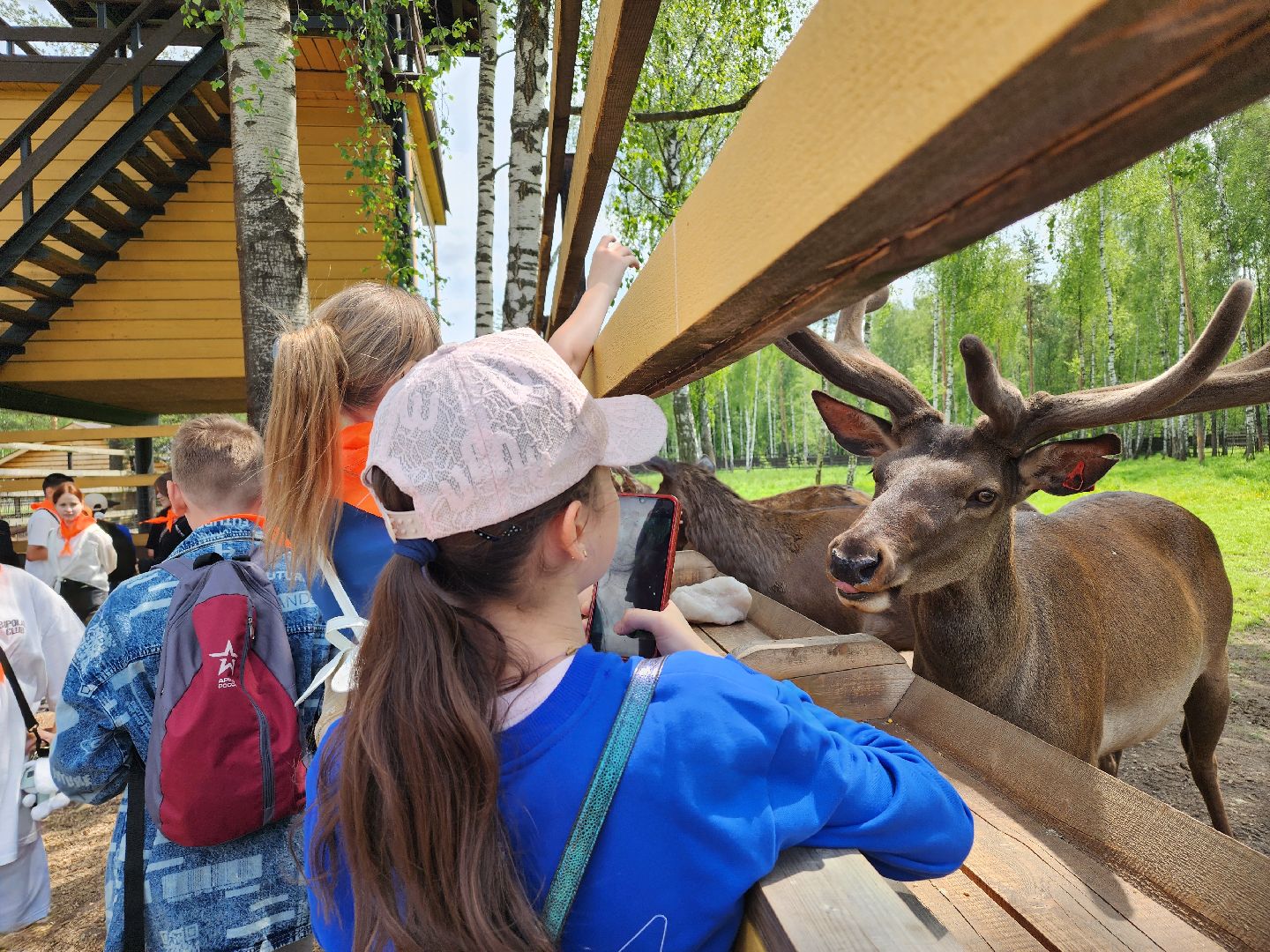 мытищи, лосиный остров,