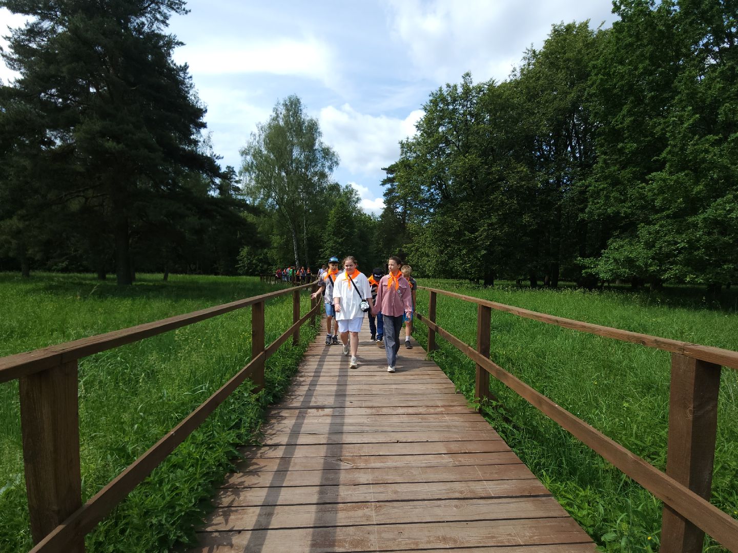 мытищи, лосиный остров,