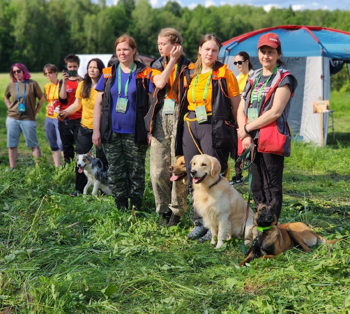 воскресенск, кинологи, соревнования, собаки,