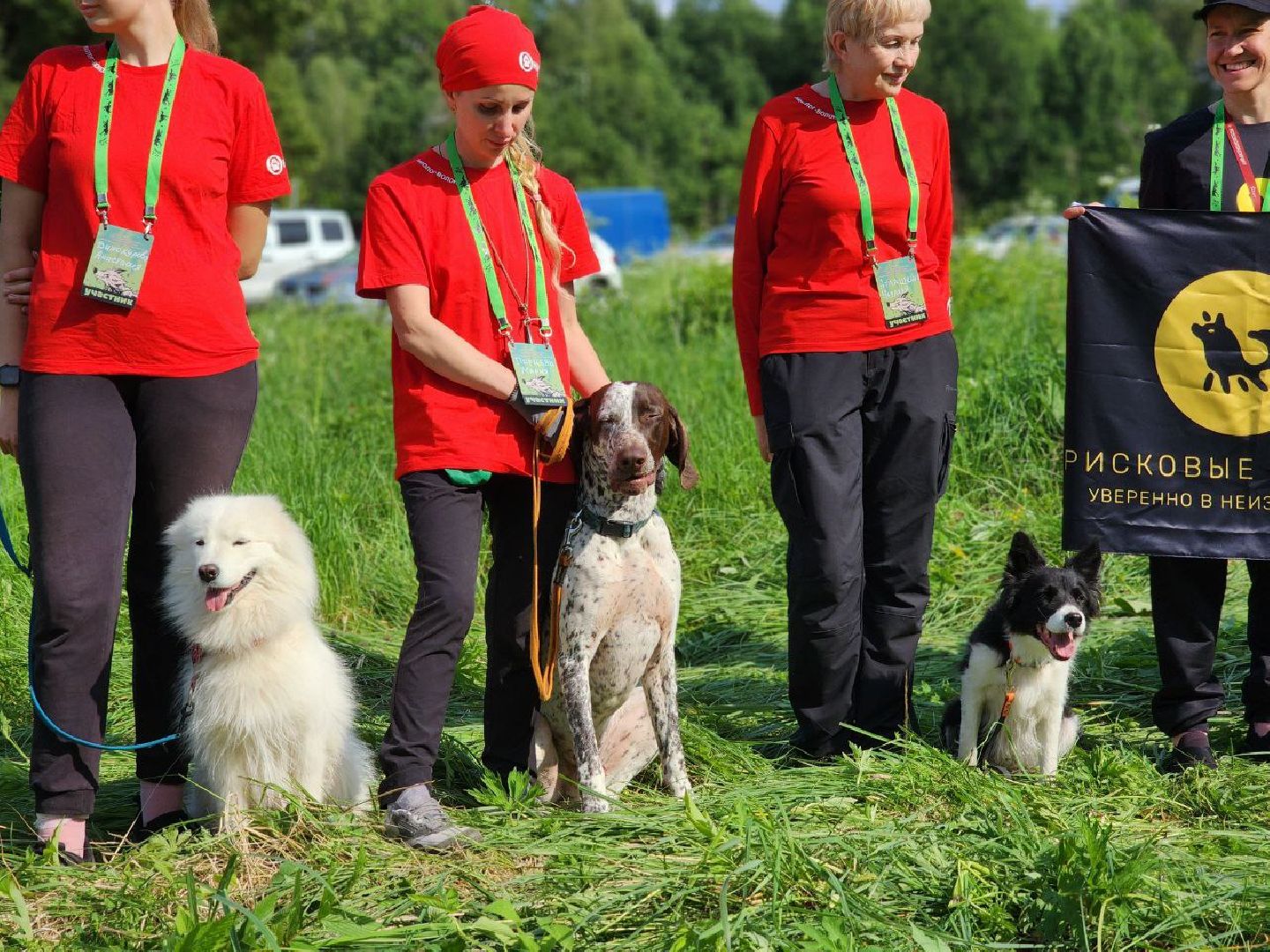 воскресенск, кинологи, соревнования, собаки,