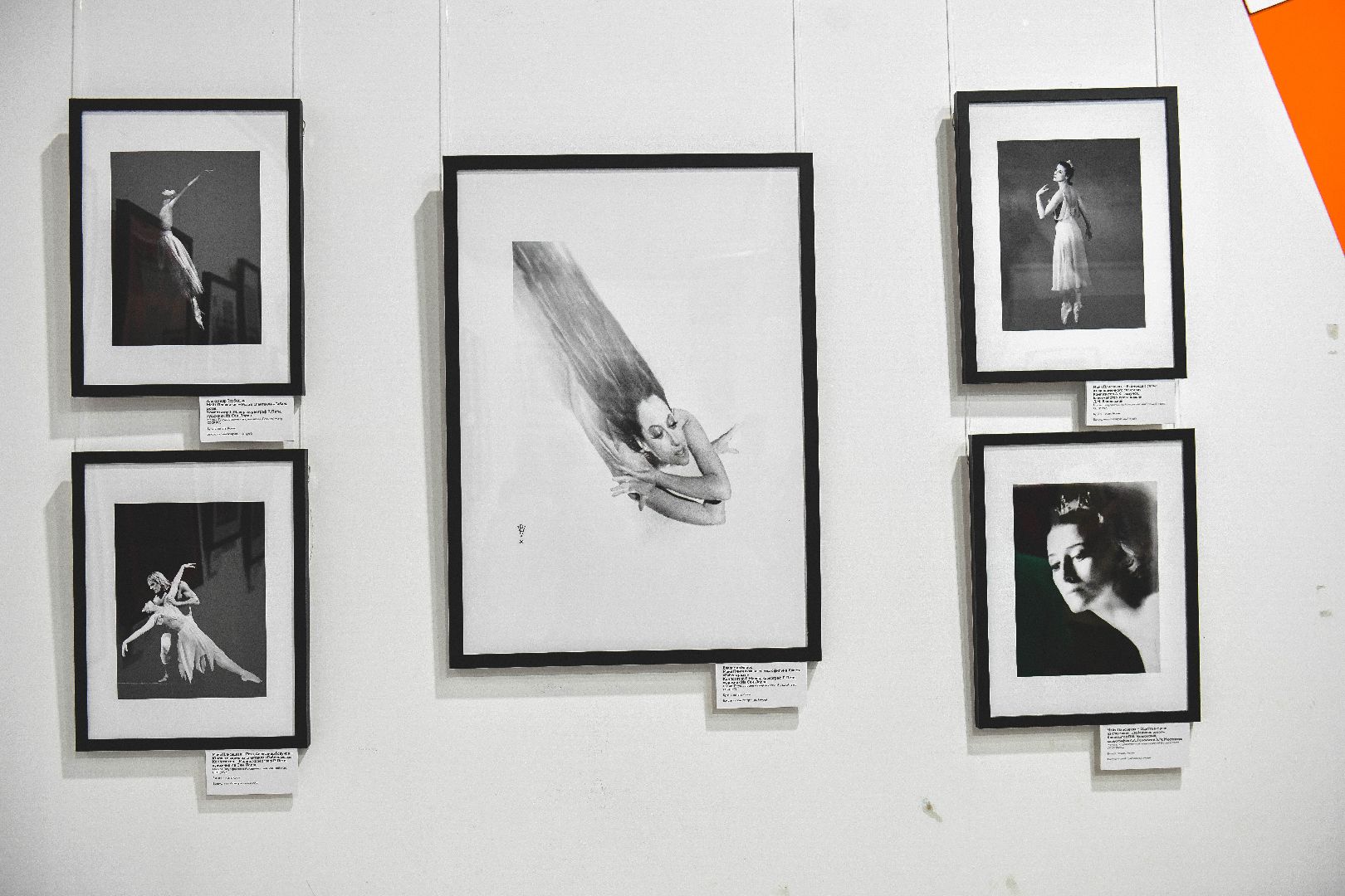 выставка, искусство, картины,