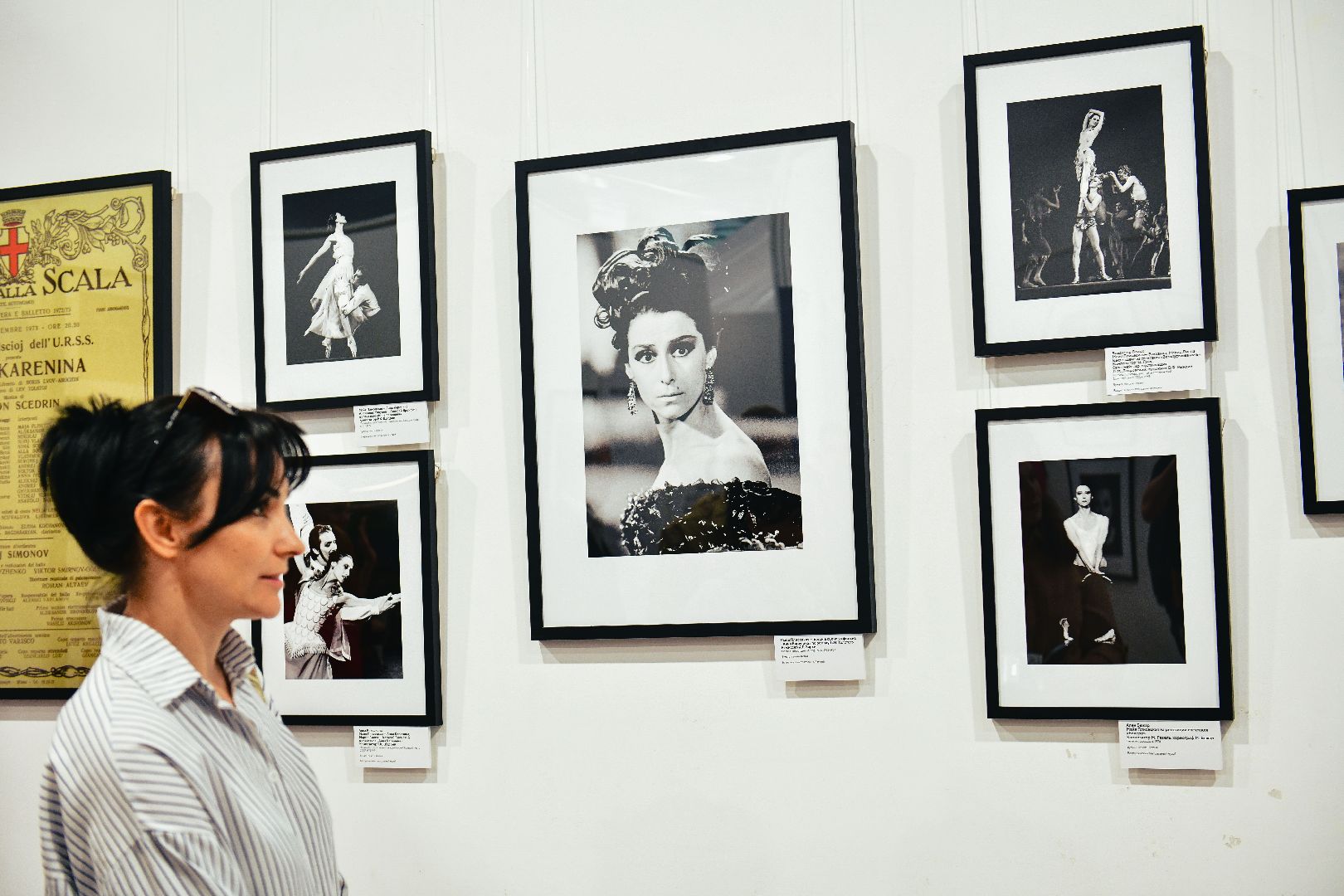 выставка, искусство, картины,