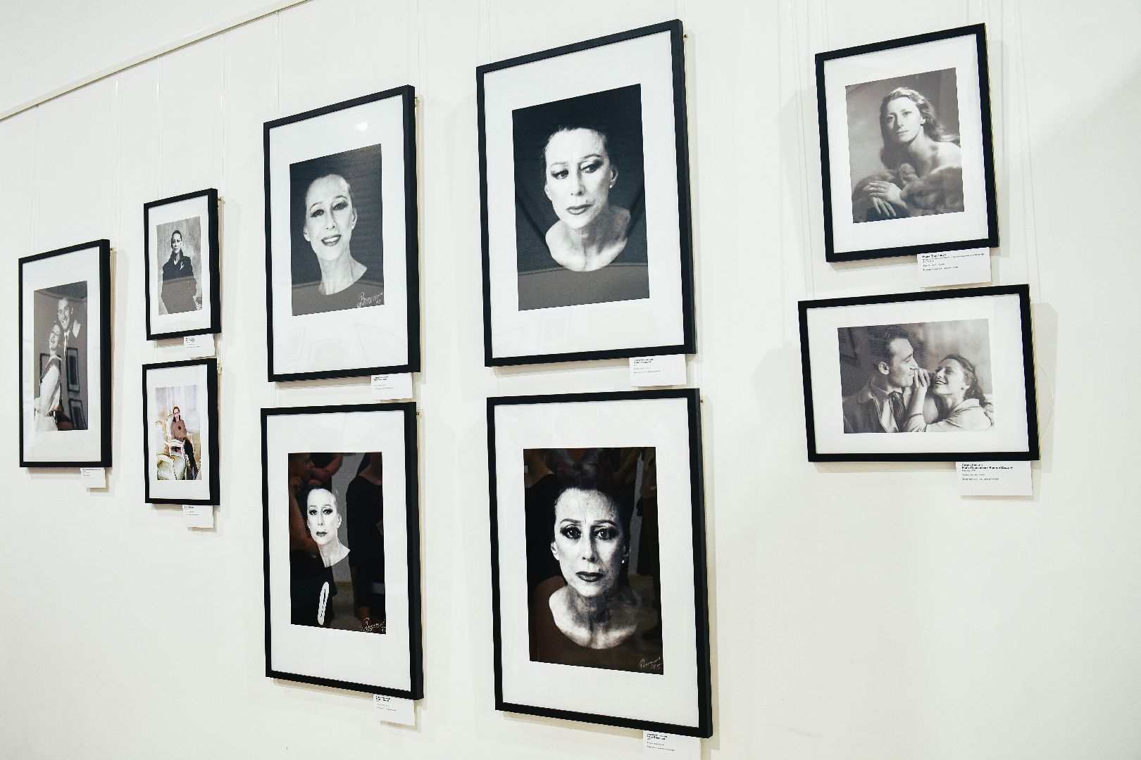 выставка, искусство, картины,