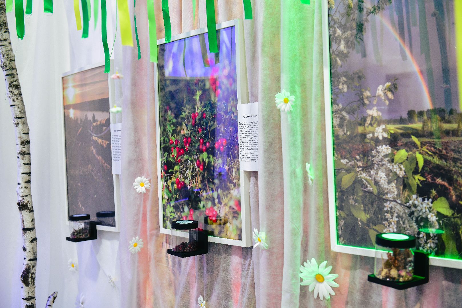 выставка, искусство, картины,