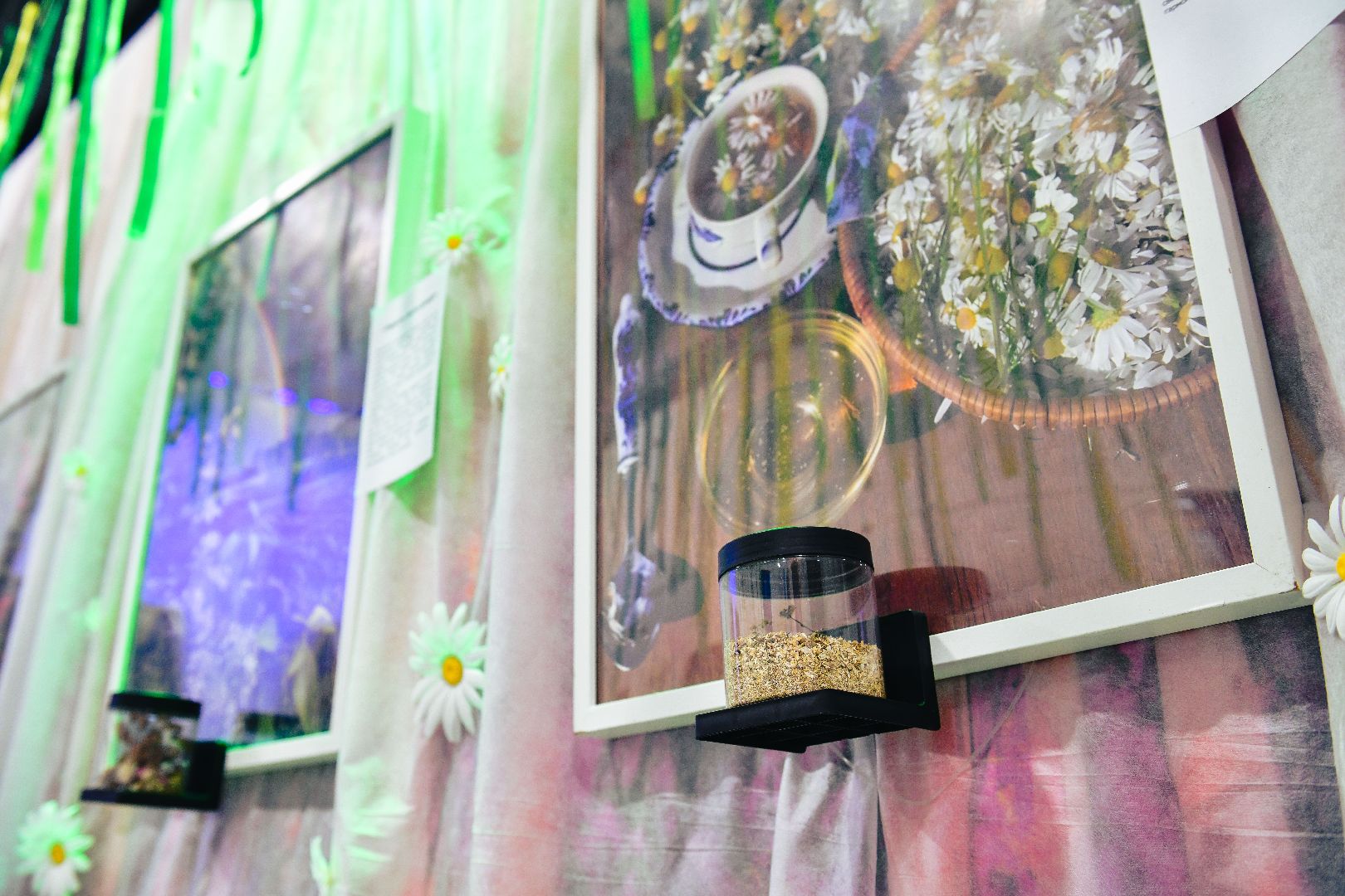 выставка, искусство, картины,