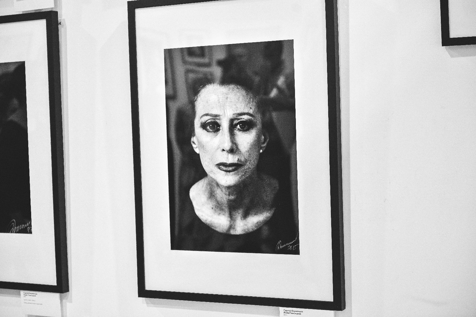 выставка, искусство, картины,