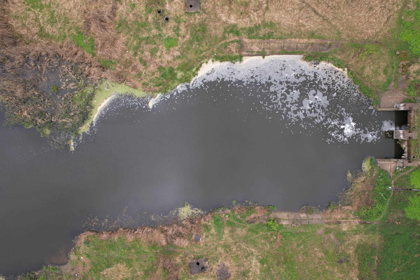 видео с коптера, очистка реки Сестра, экология подмосковья,