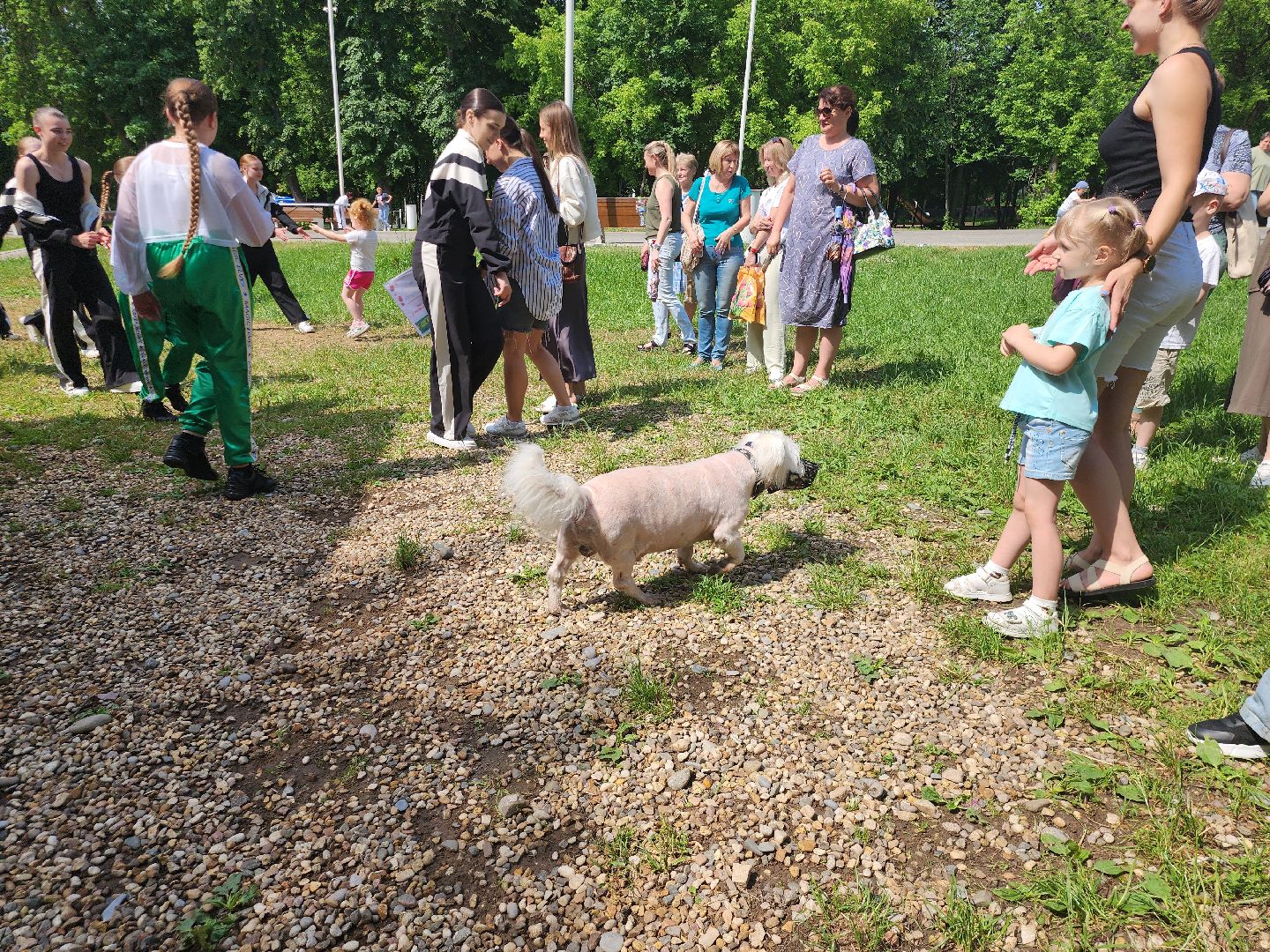 Игры, Спорт, Дети, Истра, Парк,