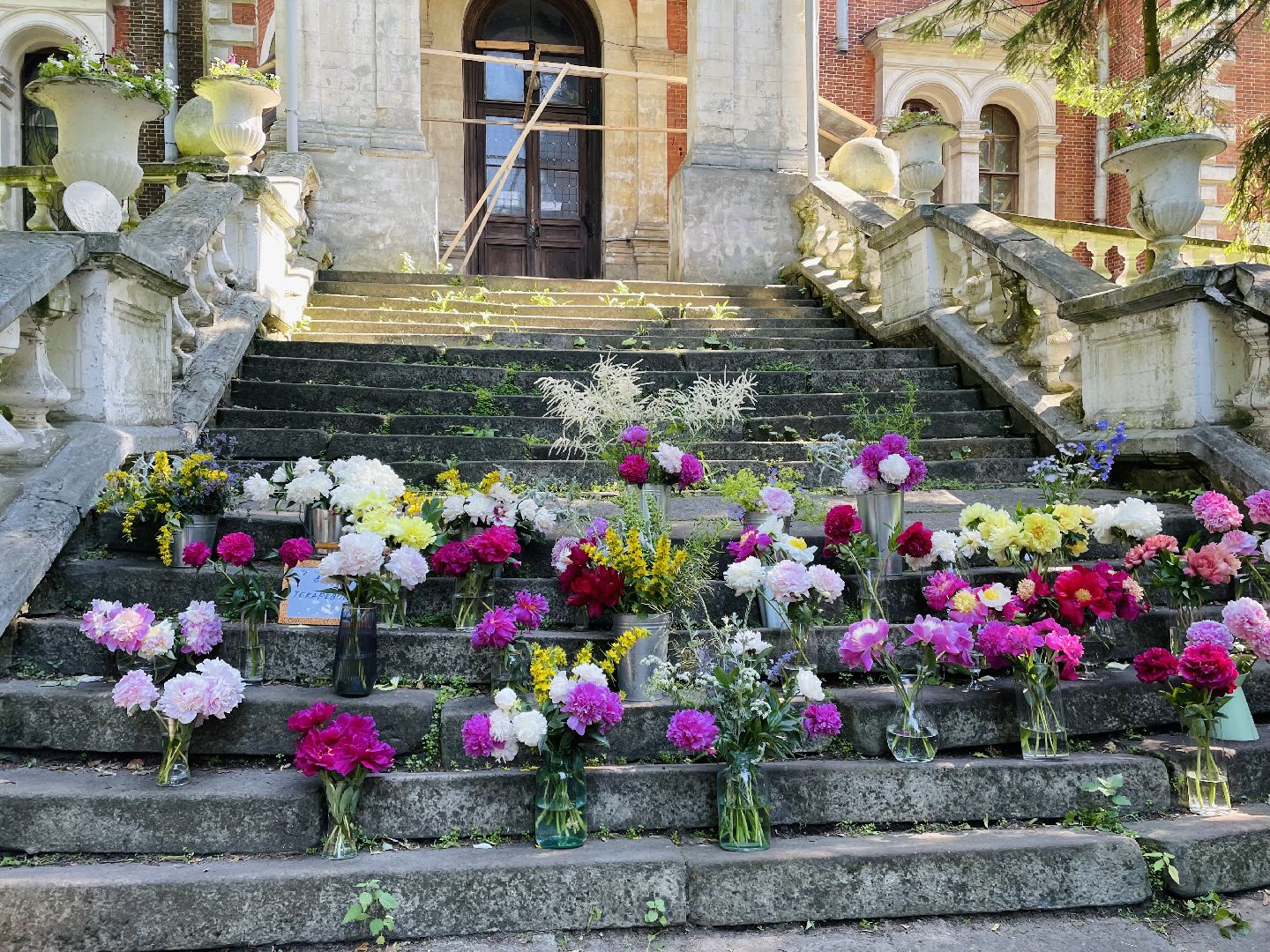 раменское, жуковский, усадьба быково, пионовый фестиваль,пионы, пионовый рай любови аристарховой,