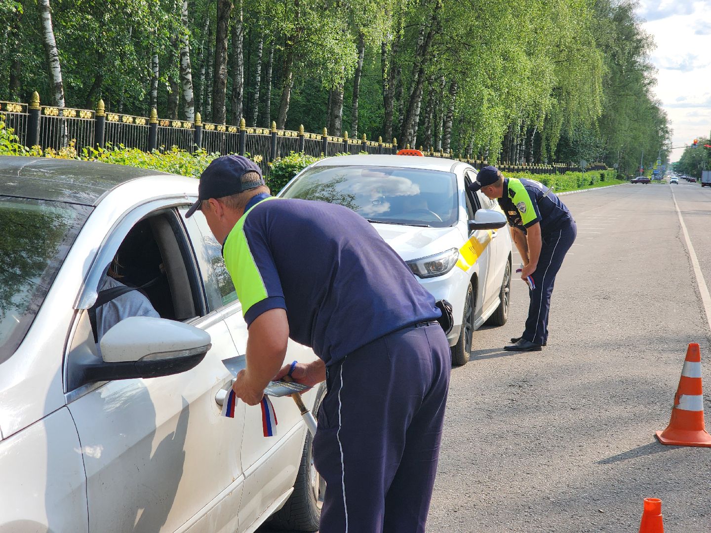 ногинск, жители, общество, день россии, мвд, полиция,