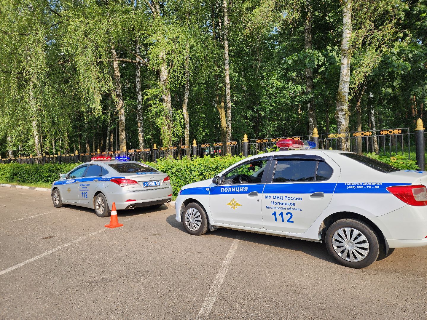 ногинск, жители, общество, день россии, мвд, полиция,