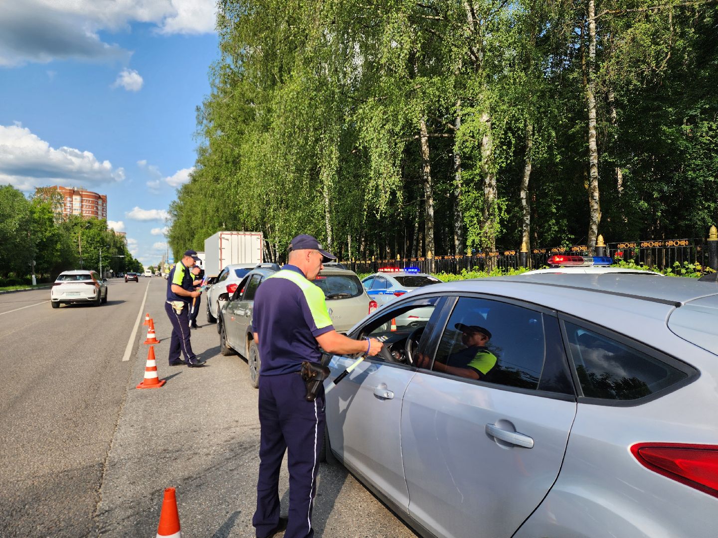 ногинск, жители, общество, день россии, мвд, полиция,