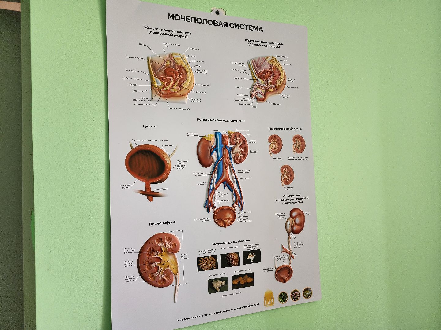 Подольск , уролог, доктор,