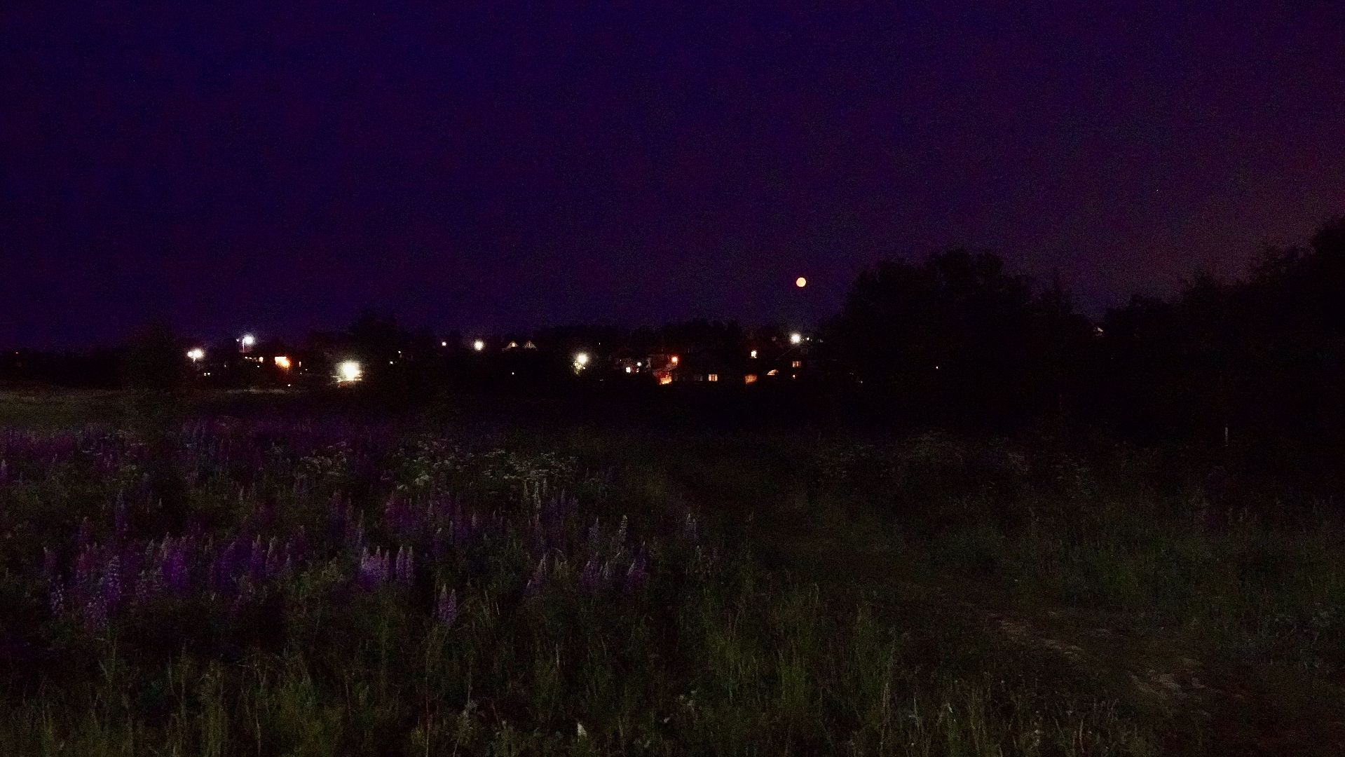 сергиев посад, сергиево-посадский городской округ, клубничная луна , полнолуние, природа , красота ,  лето в подмосковье,