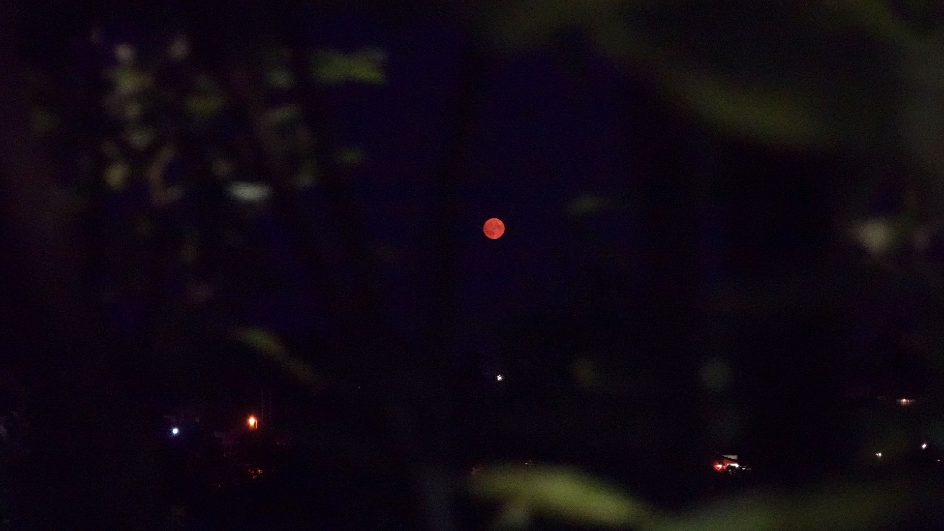 сергиев посад, сергиево-посадский городской округ, клубничная луна , полнолуние, природа , красота ,  лето в подмосковье,