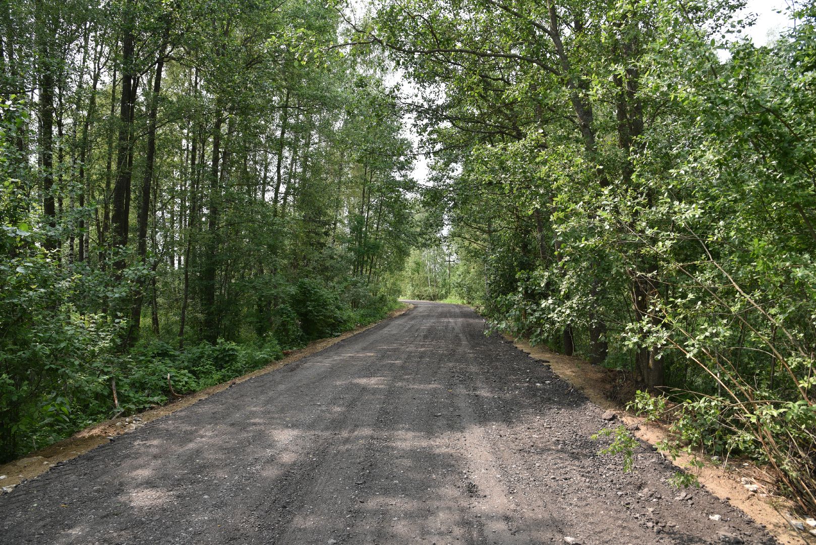 лотошино, ремонт дорог, дороги,