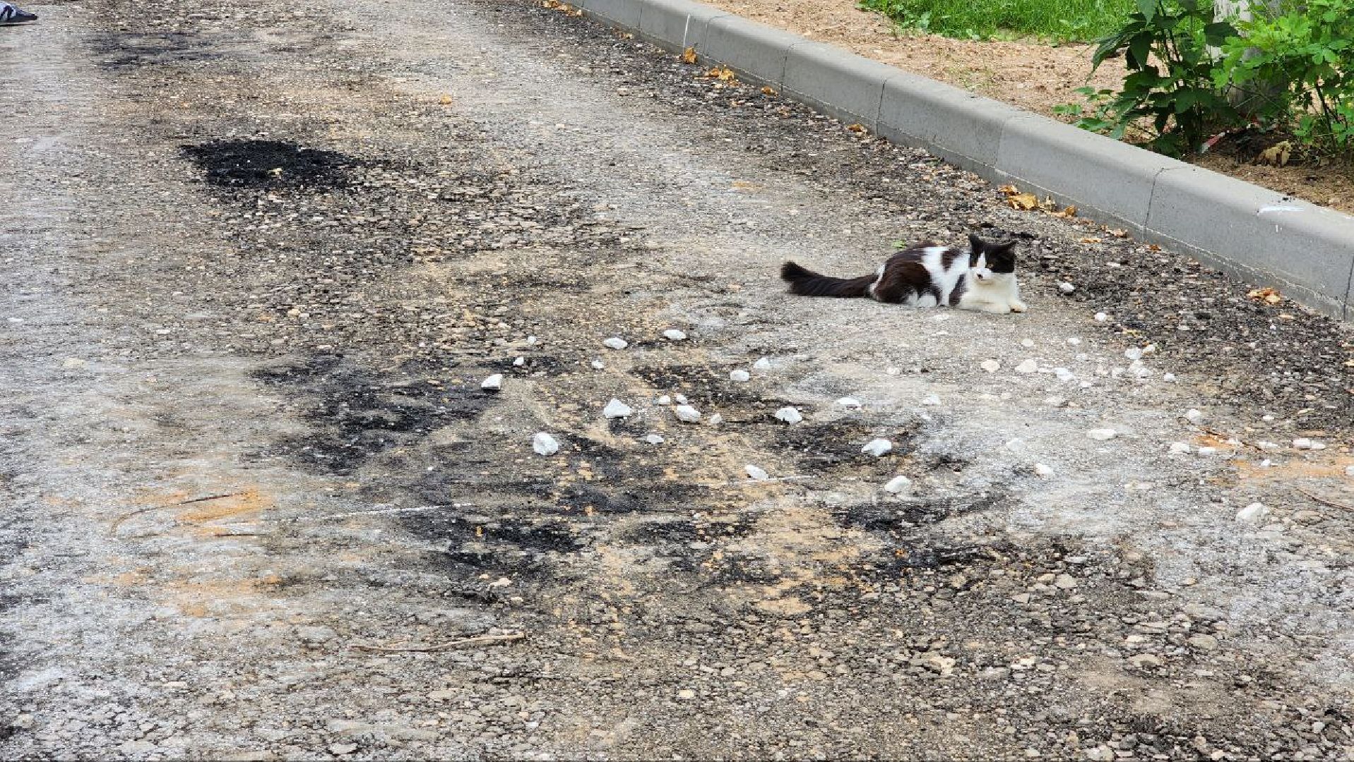 Дмитров, Благоустрйоство, Микрорайон Космонавтов, Минблаго,