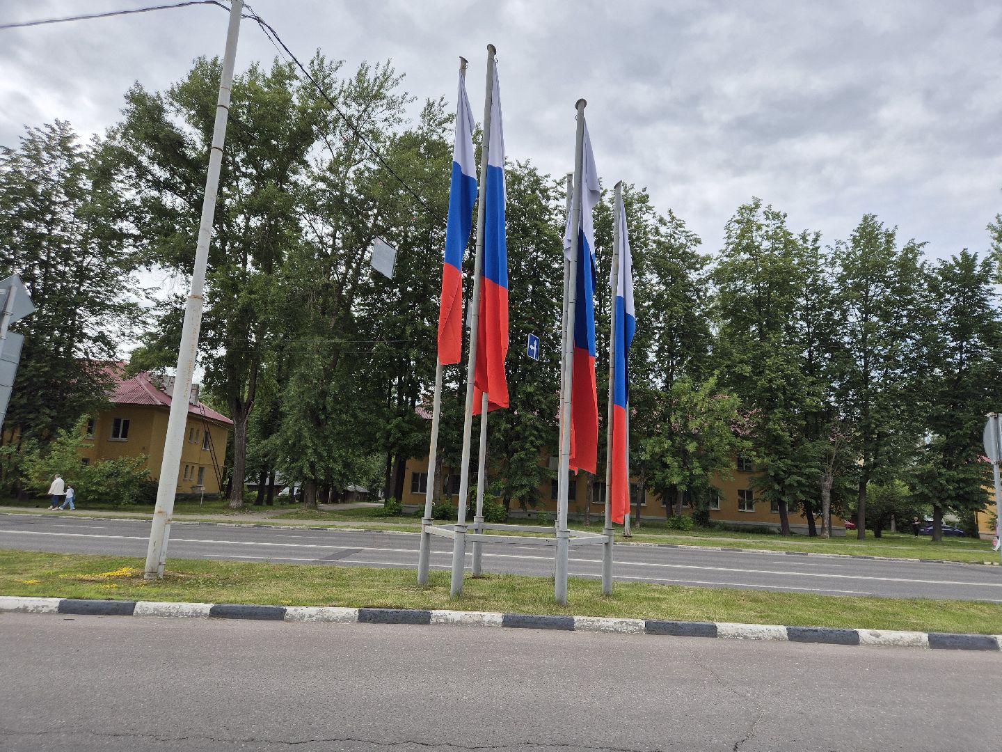 дубна, деньроссии, триколор, украшениедубны,