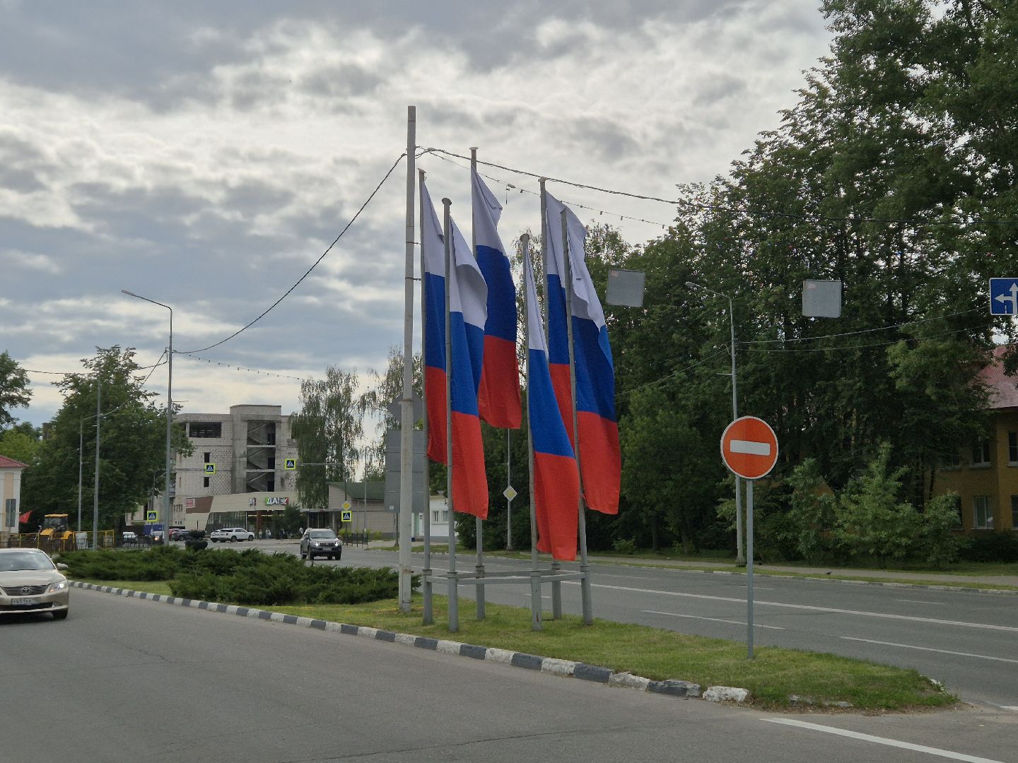 дубна, деньроссии, триколор, украшениедубны,