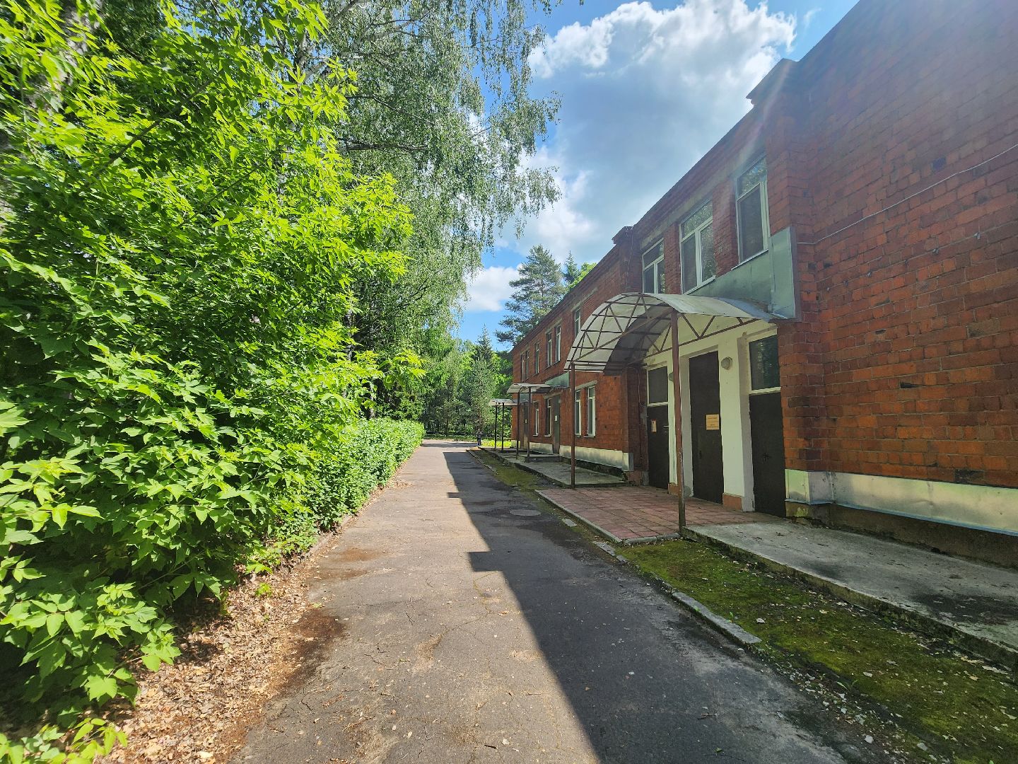 пущино, серпухов, медицина, врачи,