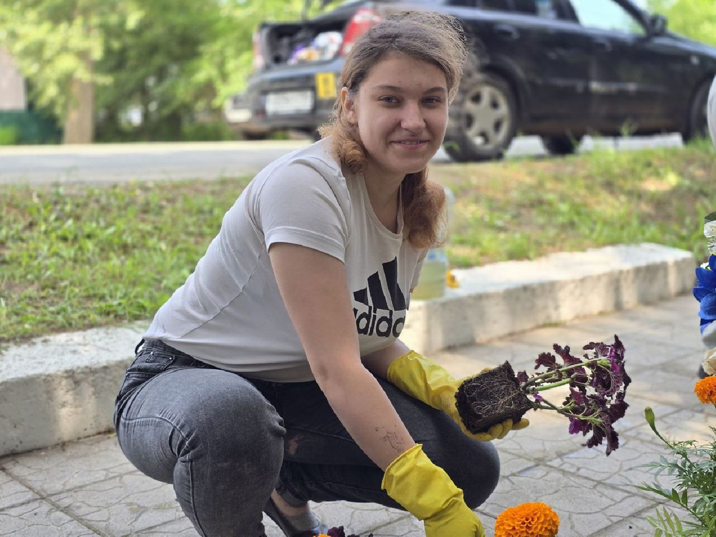 можайск, можайский муниципальный округ, подмосковье, благоустройство, однолетние цветы, посадка,