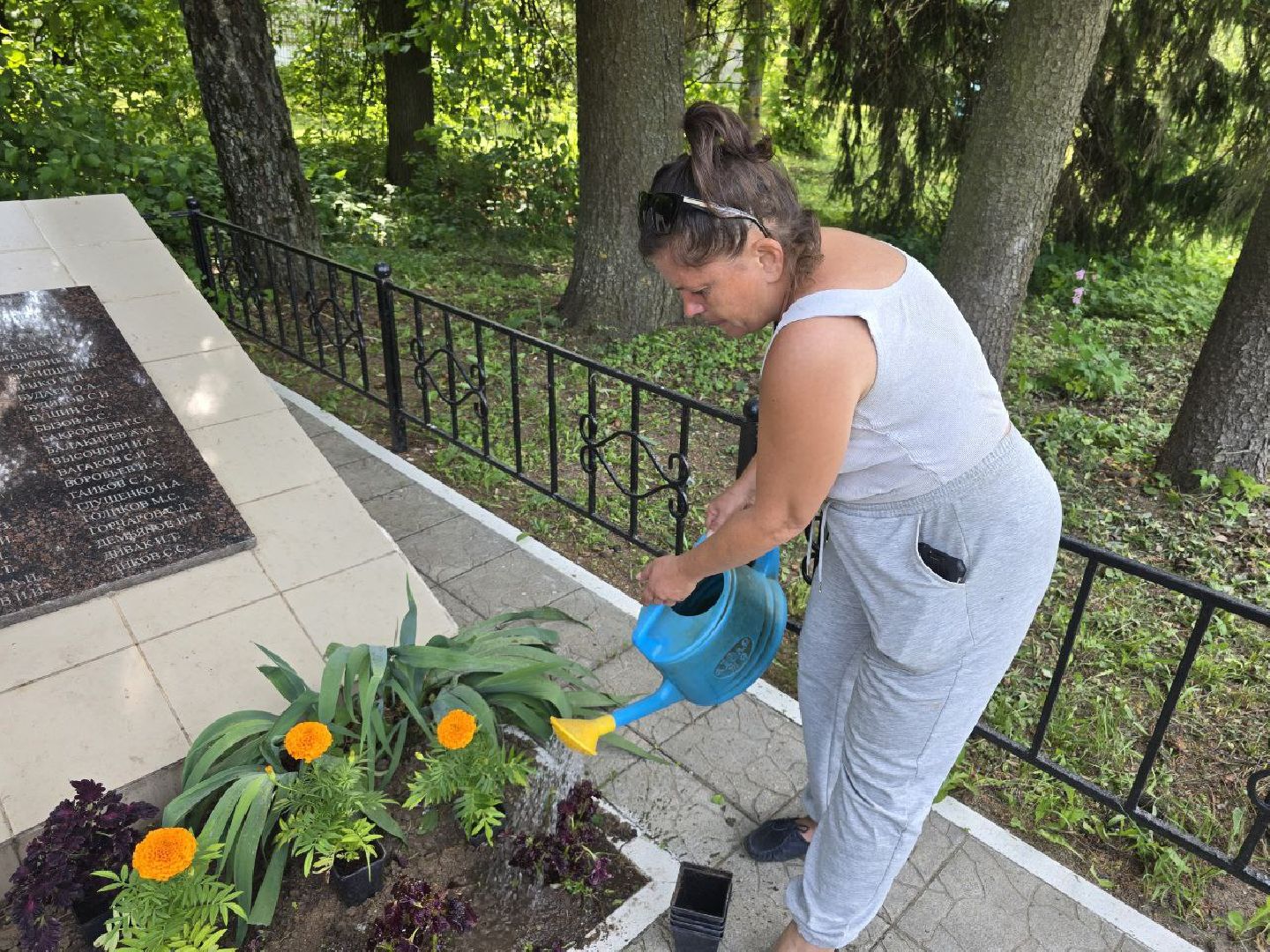 можайск, можайский муниципальный округ, подмосковье, благоустройство, однолетние цветы, посадка,