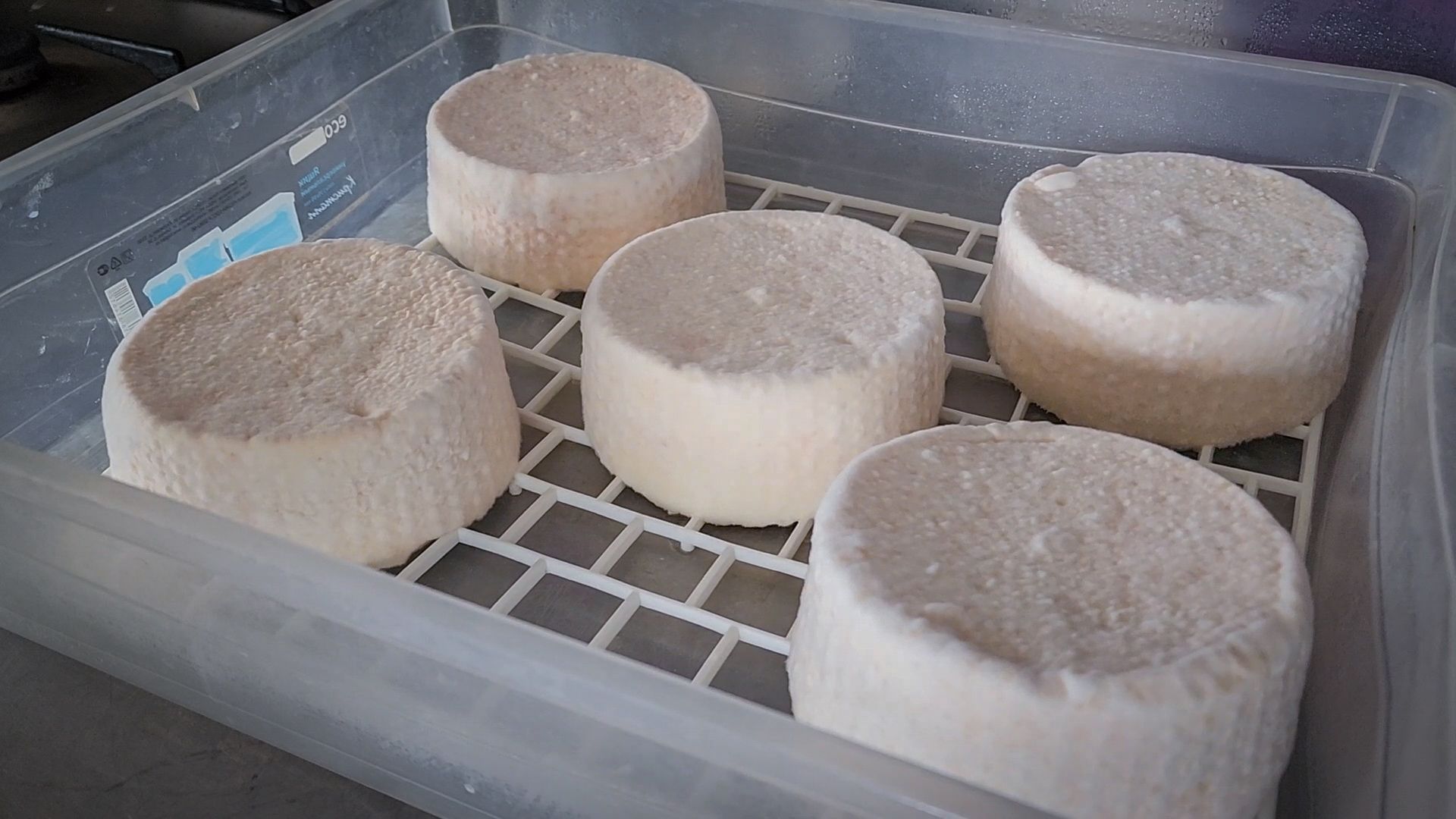 сыры из козьего молока, сыры ручной работы , экоферма Сотенка , раменский округ,