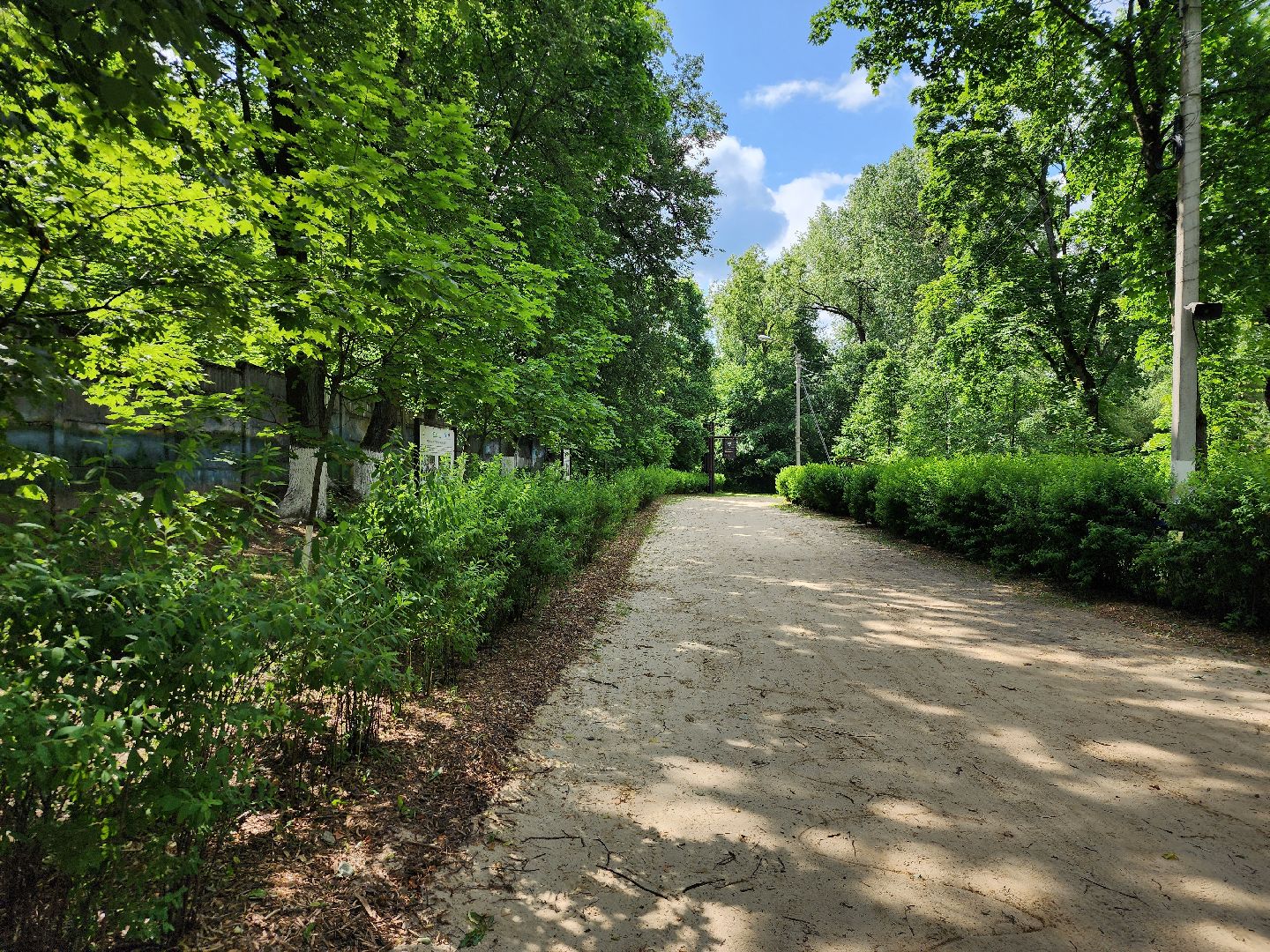 благоустройство, всероссийское голосование, парк волхонка, ногинск, богородский городской округ,