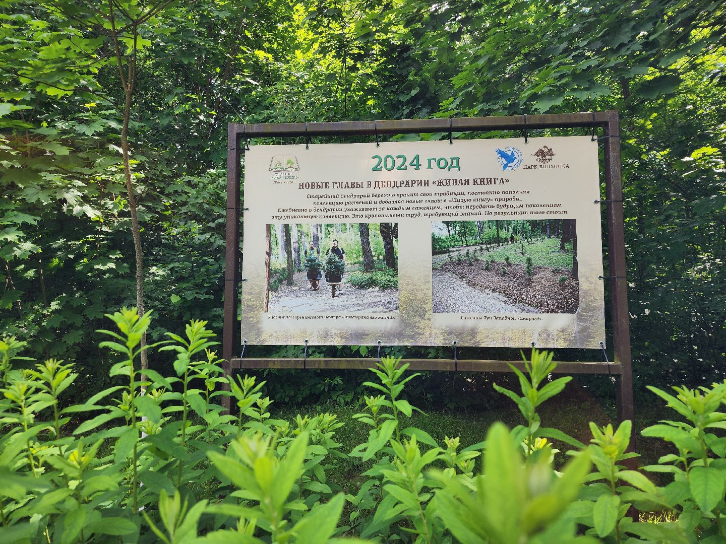 благоустройство, всероссийское голосование, парк волхонка, ногинск, богородский городской округ,