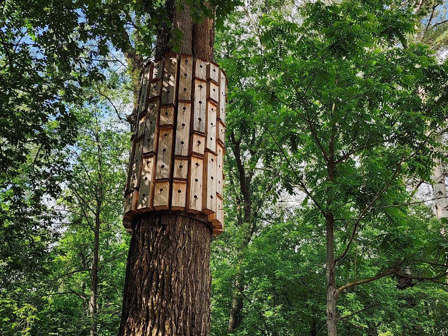 благоустройство, всероссийское голосование, парк волхонка, ногинск, богородский городской округ,