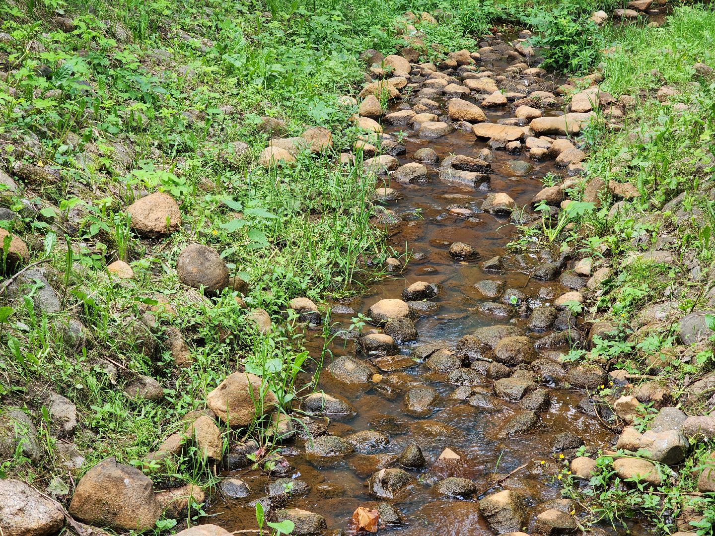 благоустройство, всероссийское голосование, парк волхонка, ногинск, богородский городской округ,